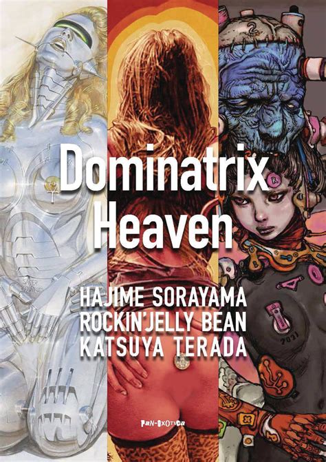 dominatrix heaven|DOMINATRIX HEAVEN SC – LabyrinthBooks.